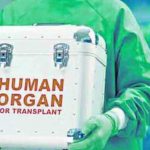 Májak megmentéséért futárszolgálattal