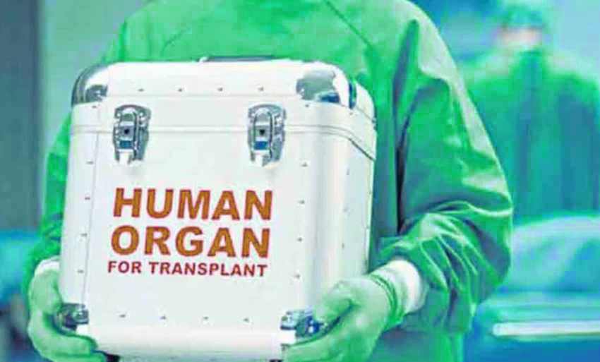 Májak megmentéséért futárszolgálattal