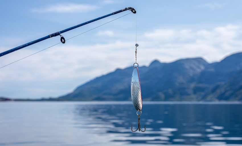 Horgászboltoknak való csomagszállítás